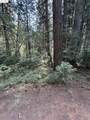 24512 Keltz Mine Rd - Photo 9