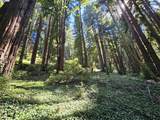 Lot26 Old La Honda Rd - Photo 1