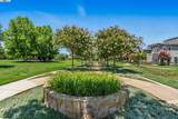 841 Fan Palm Ln - Photo 54