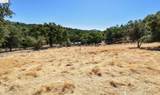 13893 Tuolumne Rd - Photo 9