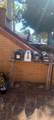 1059 Santa Clara Ave - Photo 27