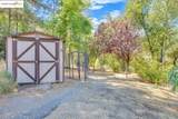 23642 Porcina Way - Photo 56