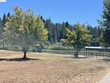 25476 Rebekah Rd - Photo 7