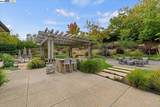 2634 Casalino Ct - Photo 55