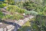 4 Berrybrook Hollow - Photo 38