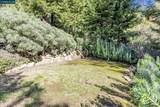 4 Berrybrook Hollow - Photo 39