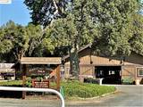 19703 Cottonwood St - Photo 35