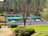 19703 Cottonwood St - Photo 41