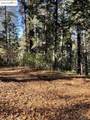 22447 Ponderosa Dr - Photo 5