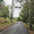 6044 Skyline Blvd - Photo 13