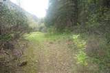 6269 Dutch Creek - Photo 13