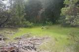 6269 Dutch Creek - Photo 15