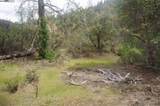 6269 Dutch Creek - Photo 16