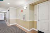 3240 Maguire Way - Photo 3