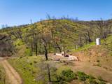 15676 Corral Hollow Rd - Photo 3