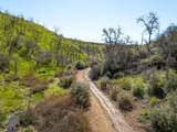 15676 Corral Hollow Rd - Photo 9