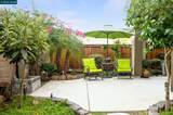 1577 Chianti Ln - Photo 31