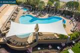 1577 Chianti Ln - Photo 48
