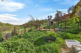 1923 Whitecliff Way - Photo 56
