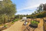 22295 Paseo De Los Portales Rd - Photo 45