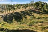 4002 Dyer Rd - Photo 38