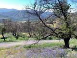 0 Cachagua - Photo 10