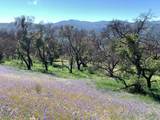 0 Cachagua - Photo 7