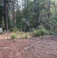 235 Double Bogey Drive - Photo 3