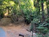 0 Old Logging Road - Photo 11