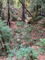0 Old Logging Road - Photo 12