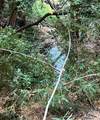 0 Old Logging Road - Photo 6