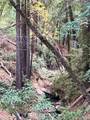 0 Old Logging Road - Photo 8