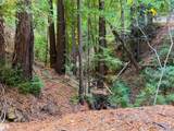 0 Old Logging Road - Photo 9