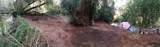 15851 Stevens Canyon Road - Photo 13