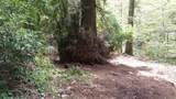 15851 Stevens Canyon Road - Photo 8