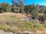 0 Long Hollow Drive - Photo 6