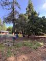 14543 Kathy Lane - Photo 47