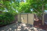 1114 Lily Avenue - Photo 53