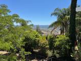 3230 Oak View Lane - Photo 6