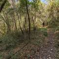 Lot 08 Madrone Avenue - Photo 3