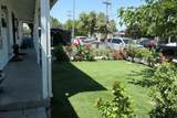 1448 San Antonio Street - Photo 3