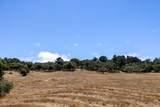 24545 Via Malpaso (Lot 94) - Photo 9