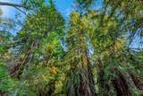Adamo Ranch, Carmel Valley Road - Photo 12