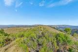 Adamo Ranch, Carmel Valley Road - Photo 33