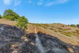 Adamo Ranch, Carmel Valley Road - Photo 40