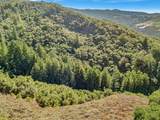 Adamo Ranch, Carmel Valley Road - Photo 48