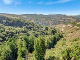 Adamo Ranch, Carmel Valley Road - Photo 49