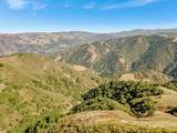 Adamo Ranch, Carmel Valley Road - Photo 52