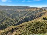 Adamo Ranch, Carmel Valley Road - Photo 59