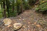 02 Bear Creek - Photo 11